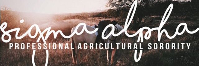 sausigmaalpha's profile banner image