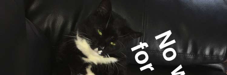 macahibee's profile banner image