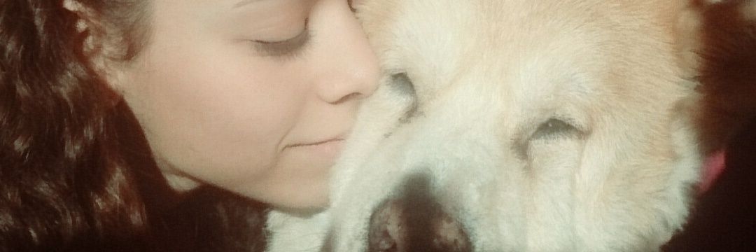 luciaytayson's profile banner image