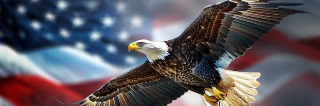 save_western's profile banner image