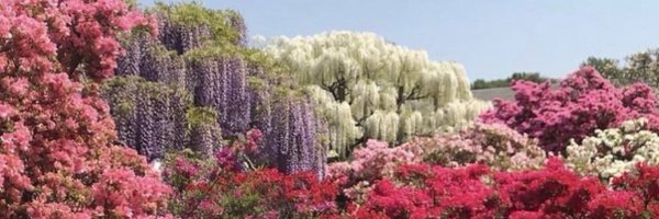 PrincessHilton Profile Banner