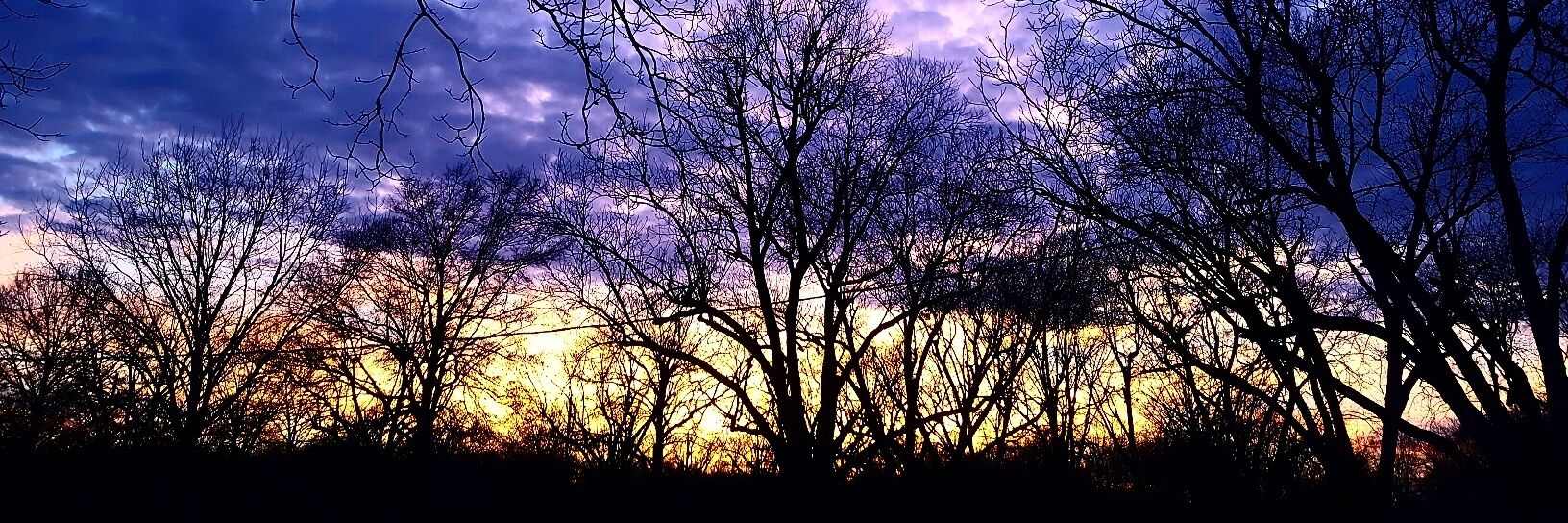 JuliGoodman's profile banner image