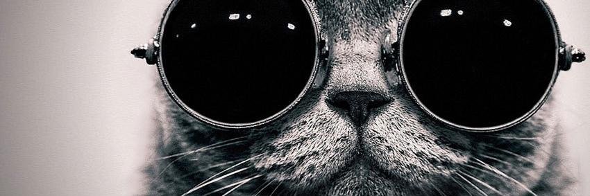 caleb_anthony_'s profile banner image