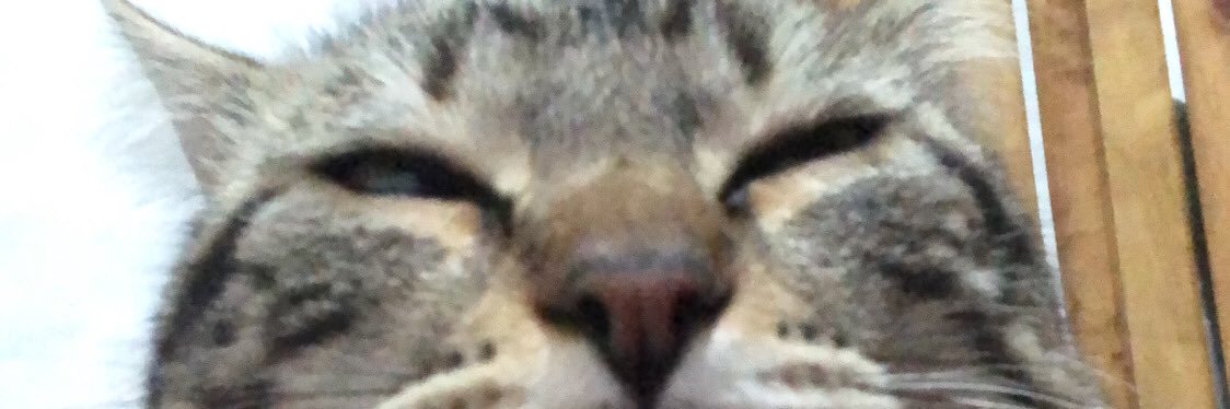 LSantande's profile banner image