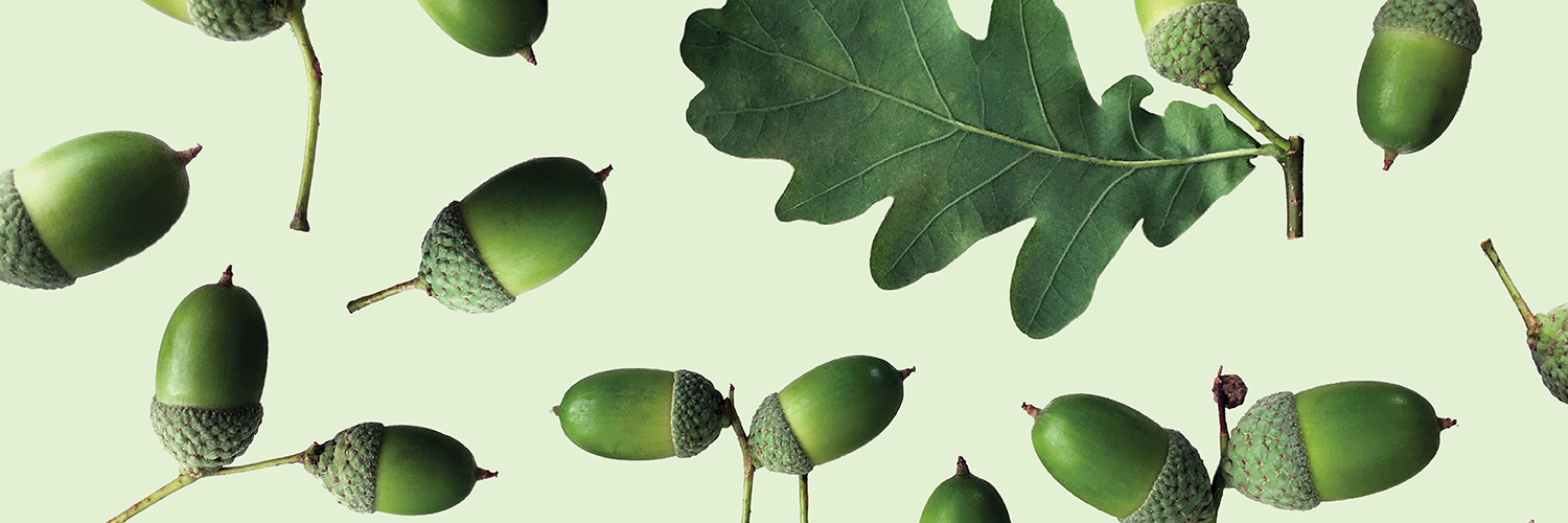 uoftalumni's profile banner image