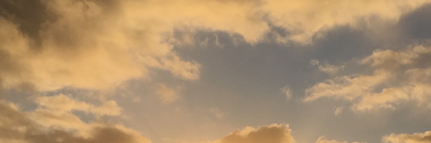 roughlyslahng's profile banner image