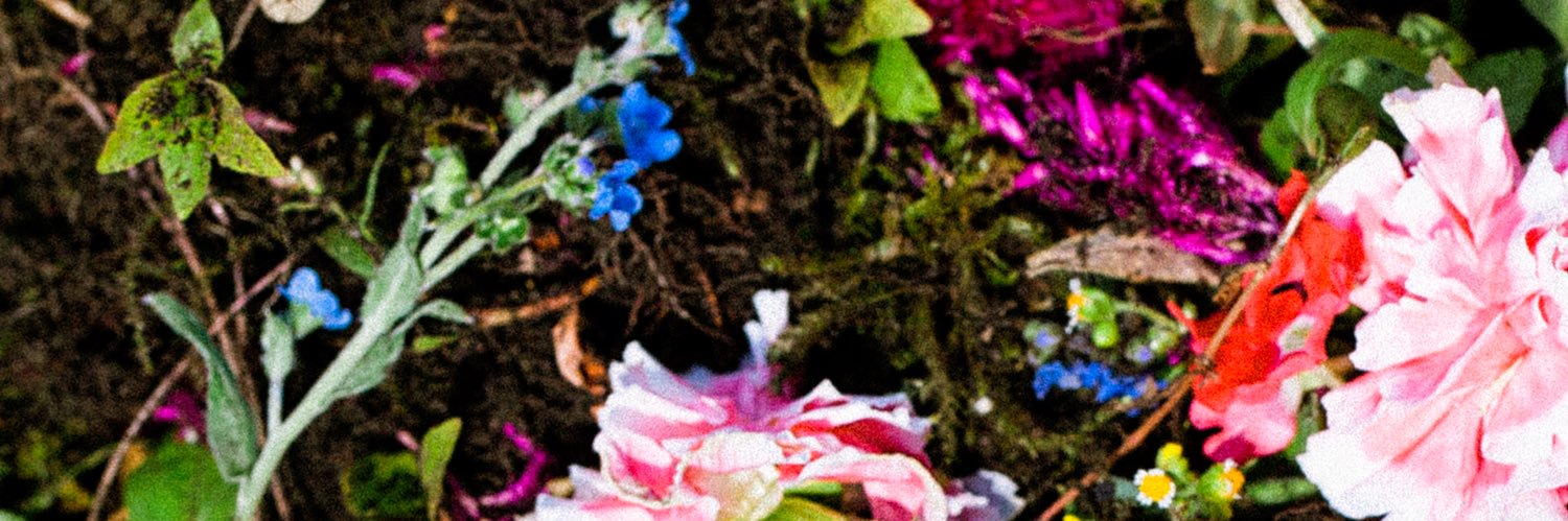 braidsmusic's profile banner image