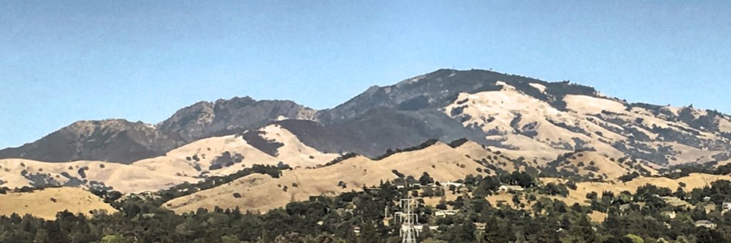 Tom Tarantino banner