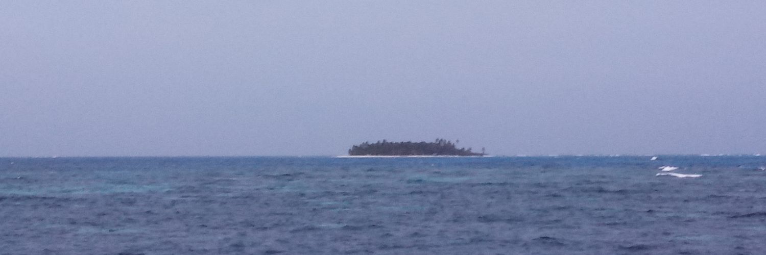 Rodolfo Noriega banner