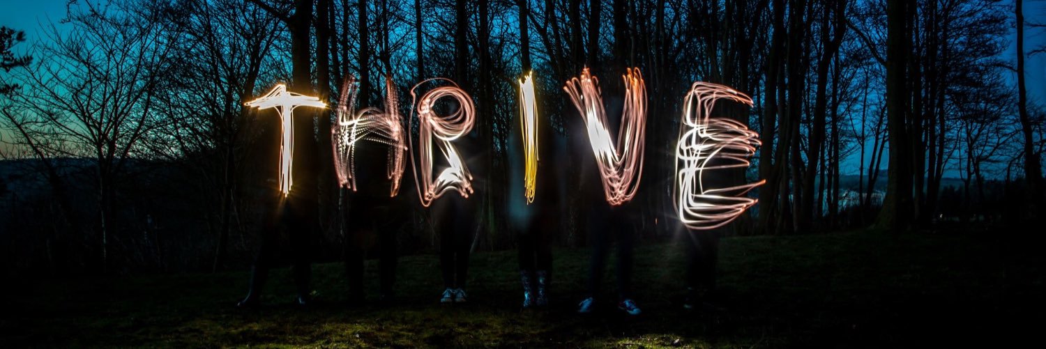 Annabel McCourt banner