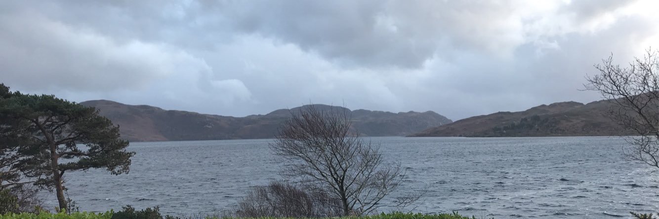 Michelle Treacy banner