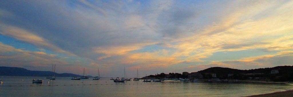 Lisette Sipman banner