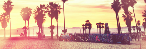 eumechamocleo's profile banner image