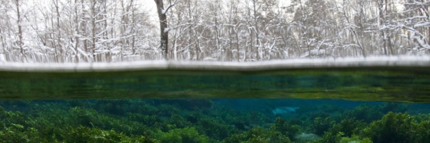 Alex Wen banner