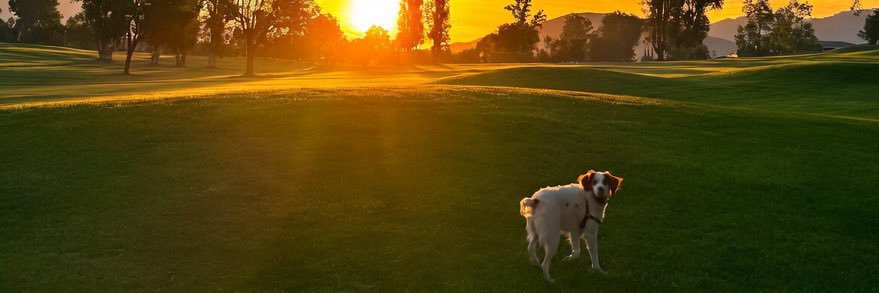 jgrotzinger's profile banner image