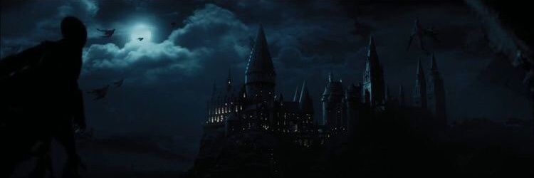 viscaelgomez's profile banner image