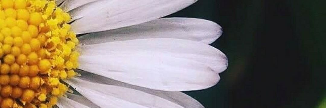 LM27886's profile banner image