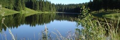 Сергей Лесник banner