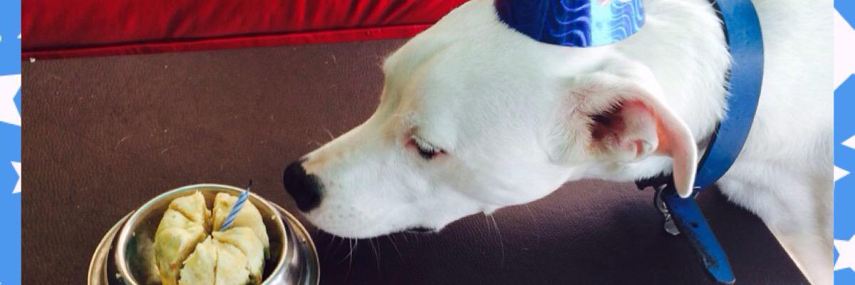 1118Matty's profile banner image