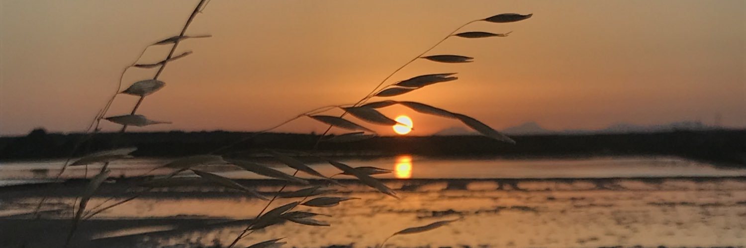 annlerock's profile banner image