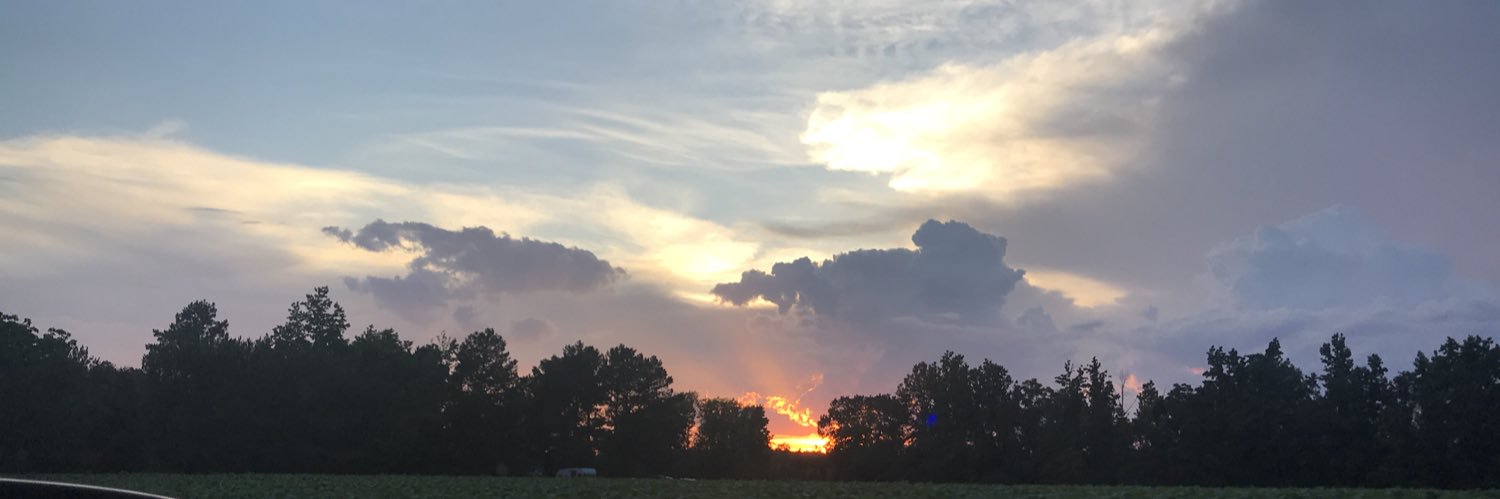 StephaniElise23's profile banner image