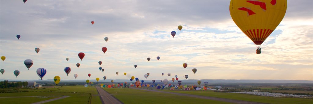 wildherlife's profile banner image