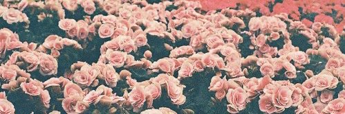 lidiaaire's profile banner image