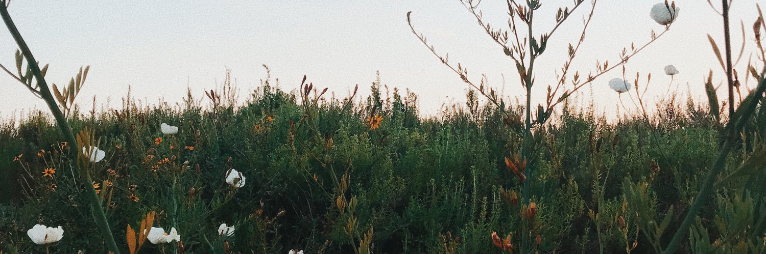 riley_arnson's profile banner image