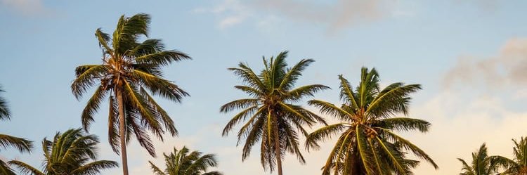 ItsAnthoB's profile banner image