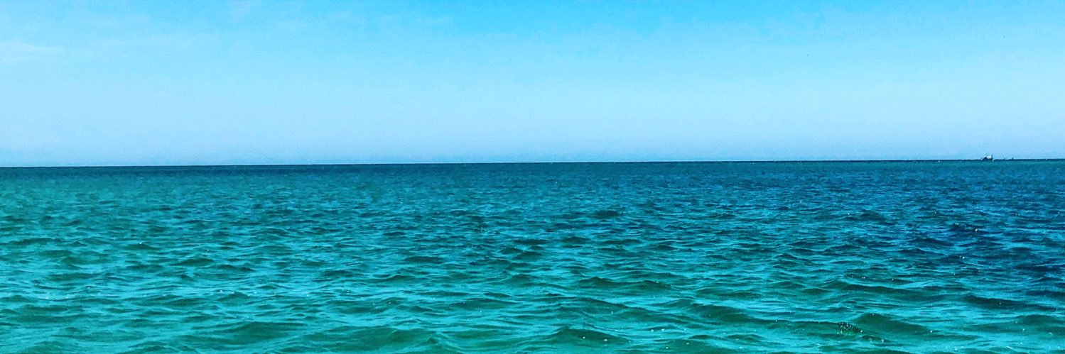 veritusveritus's profile banner image
