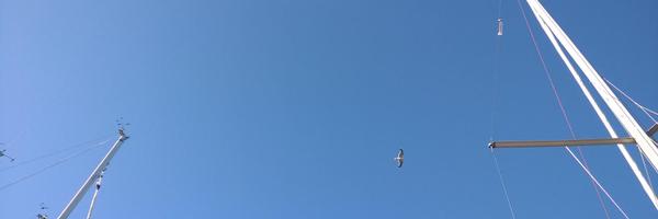 KristiRaik Profile Banner