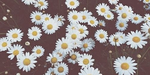 tessadejonggg's profile banner image