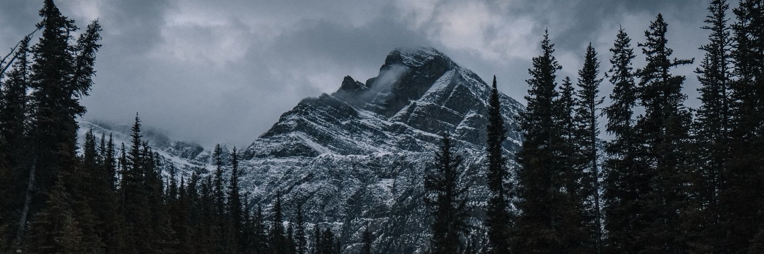 Алёна banner