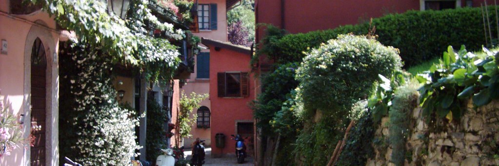 Amarillo somehow🎸 banner