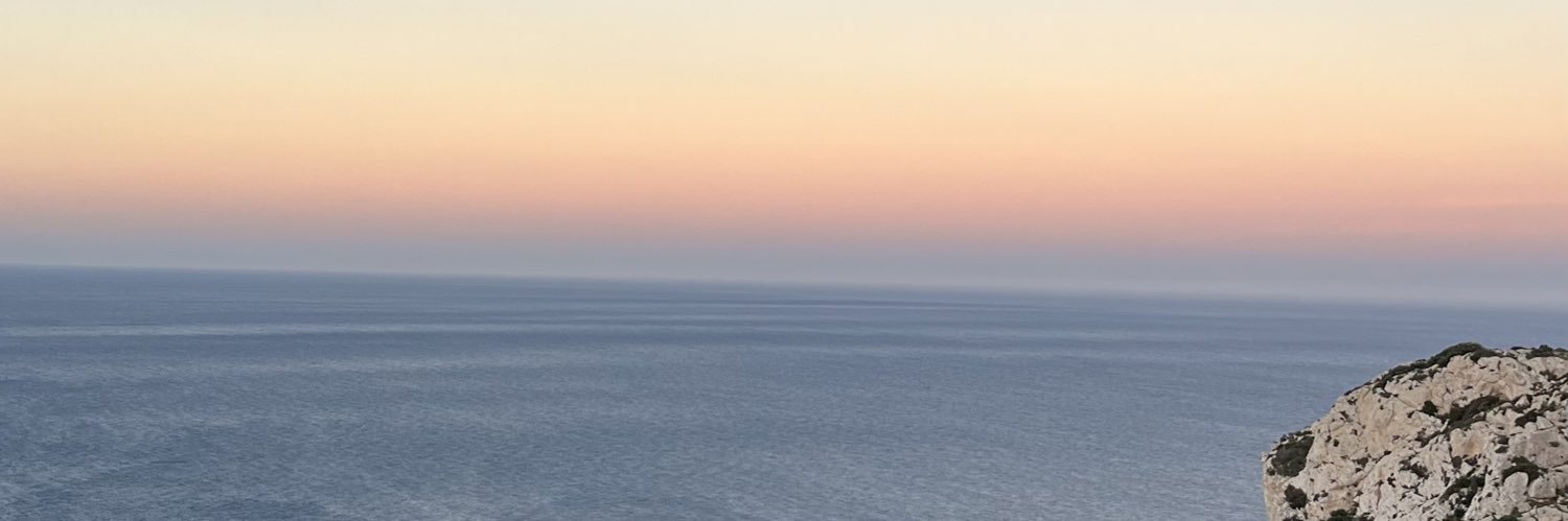 nico_s1100's profile banner image