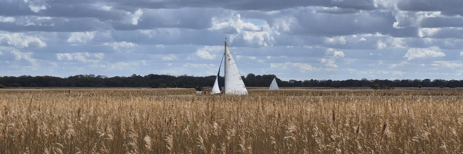 Louise Griffiths banner