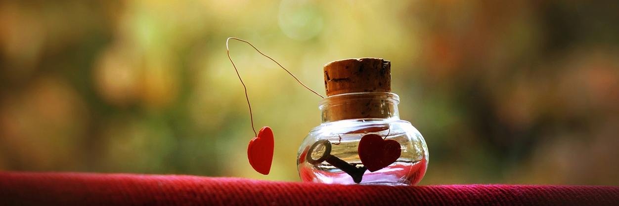 nehapurohit17's profile banner image