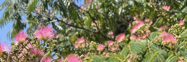 Gyalaxyze's profile banner image