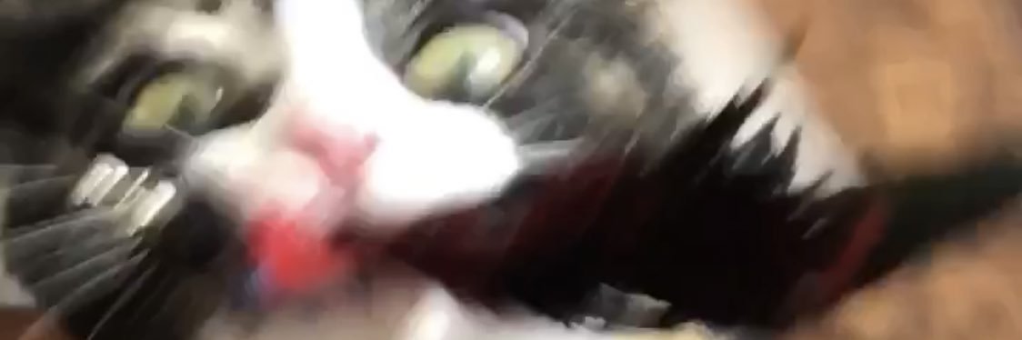 O W E N banner
