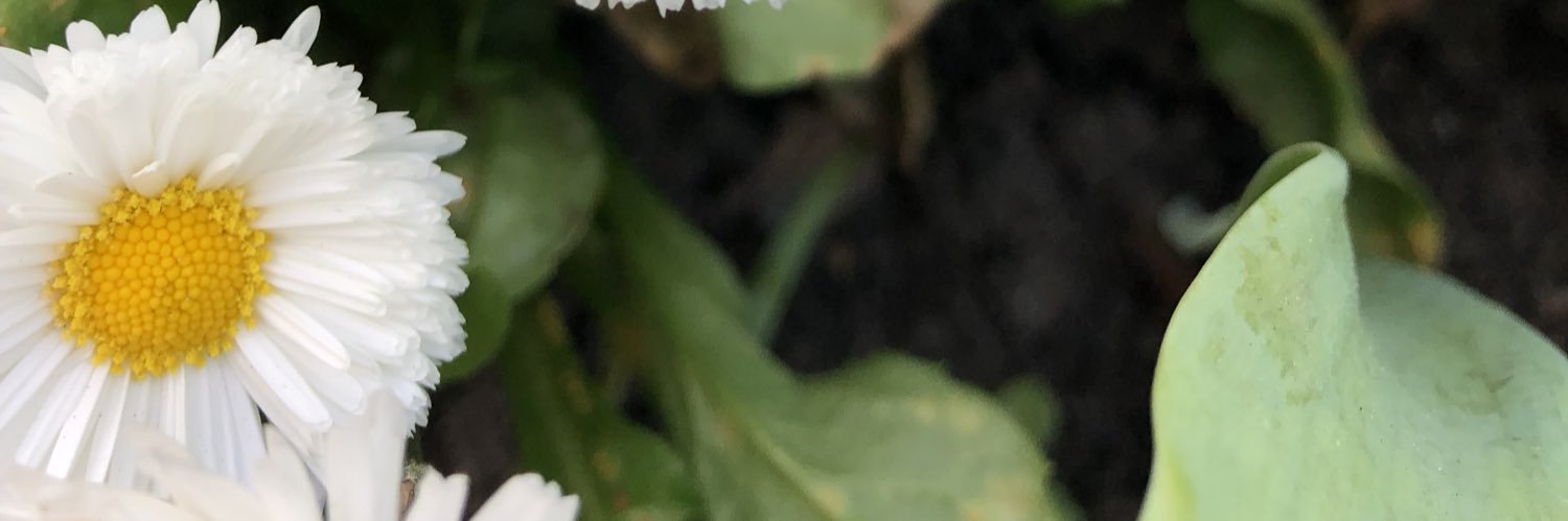 AKaglyak's profile banner image