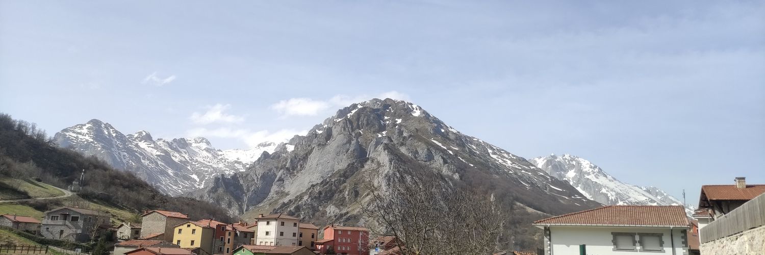 Esther Vicente banner