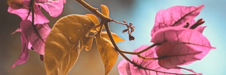 jamZ_5's profile banner image