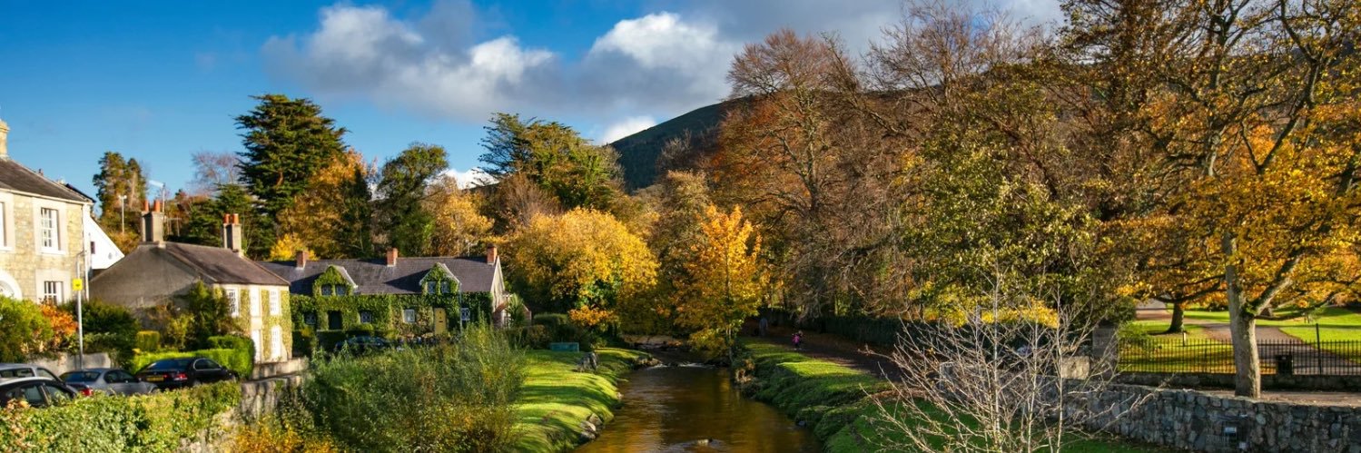 Northern Ireland banner