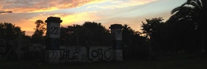 melmazzolini's profile banner image