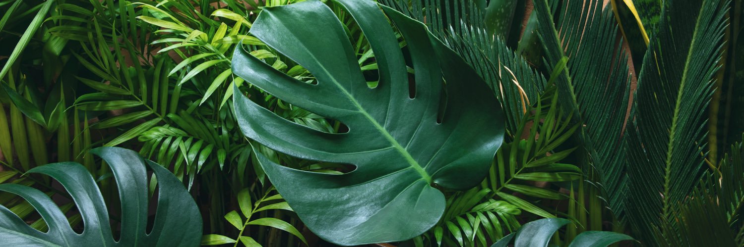 The_Skincerest's profile banner image