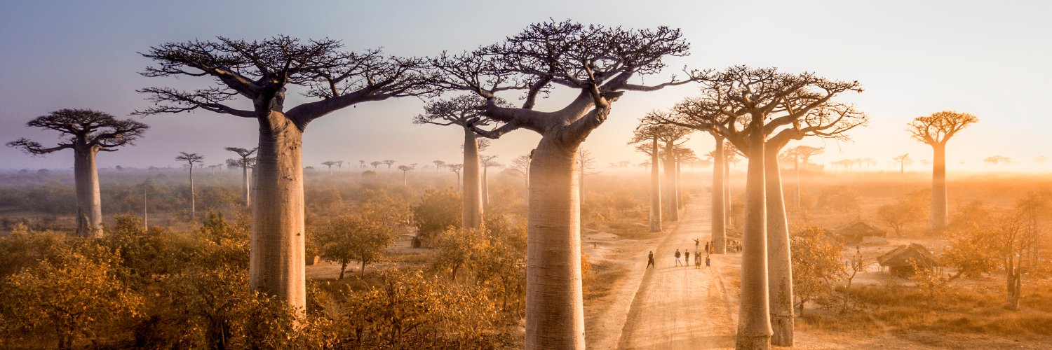 🌍 I Like Local 🌍 banner