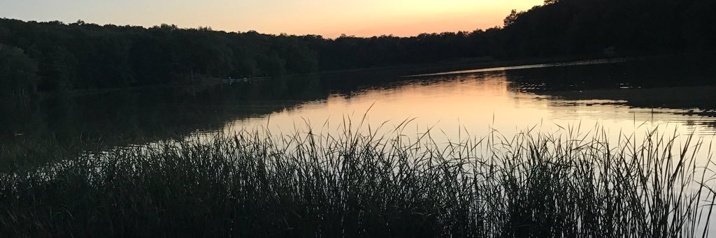 RWash106's profile banner image