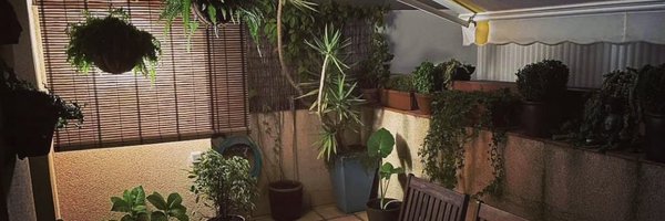 Pepo_bcn Profile Banner