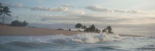 marina. banner