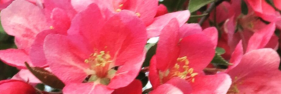 FritzMullerII's profile banner image